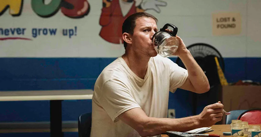 ژانر فیلم مرد پشت بامی / داستان فیلم مرد پشت بامی