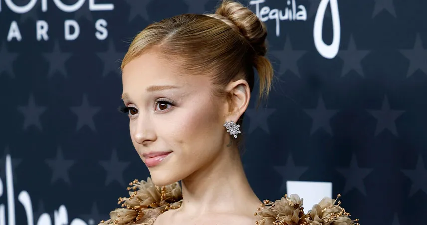 ژانر فیلم شرور برای همیشه / تاریخ اکران فیلم Wicked: For Good