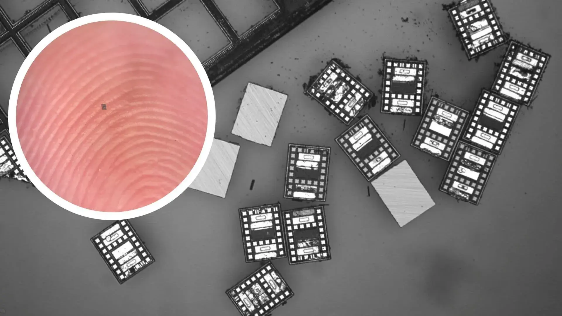 کوچک‌ترین ربات‌های خودمختار جهان ساخته شدند؛ کوچک‌تر از دانه نمک!