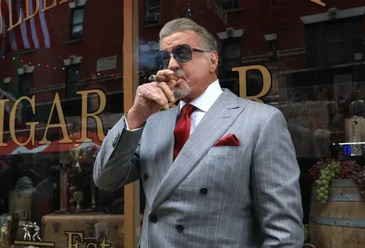 حسرت‌های ایتالیایی؛ چرا استالونه افسوس فرنچایز نشدن «کبرا» و «تانو و کش» را می‌خورد؟ 