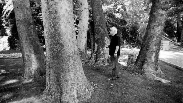 افرا به یاد بیضایی در تئاتر شهر کاشته شد