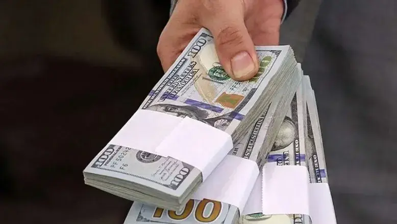 تزریق ۶.۷ میلیارد دلار ارز به بازار؛ اعلام جزئیات جدید از سوی رئیس‌کل بانک مرکزی