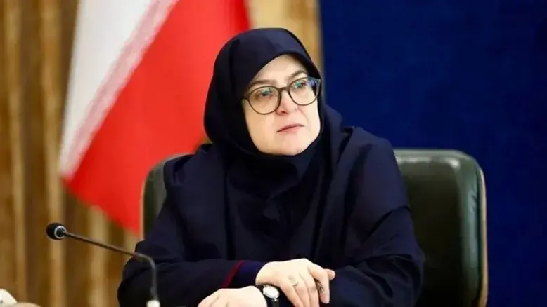 سخنگوی دولت درباره بازگشت دسترسی عمومی به اینترنت و مسیر اینترنت پرو سخن گفت