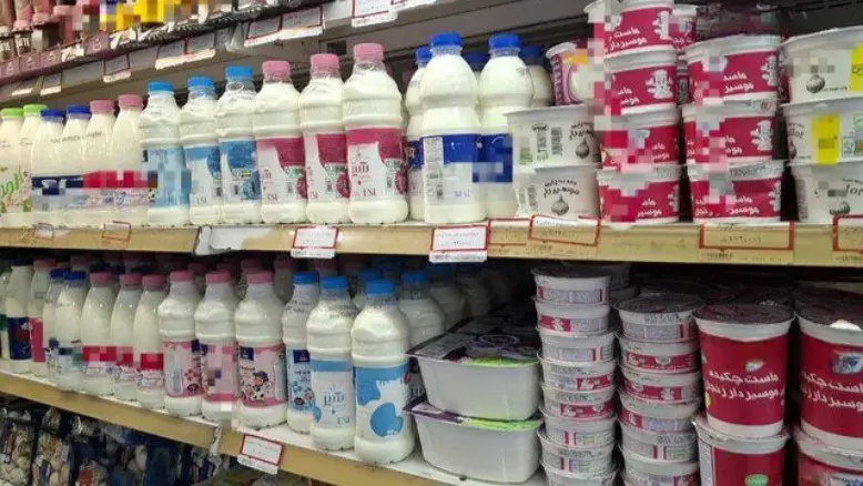 جزئیات طرح تخفیف ۱۰ درصدی لبنیات برای دارندگان کالابرگ