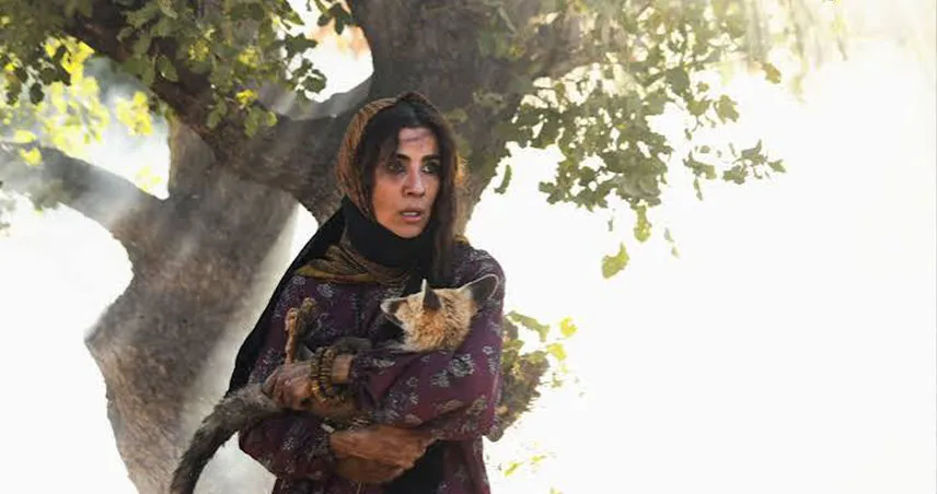 فیلم های سینمایی ایرانی ۱۴۰۵