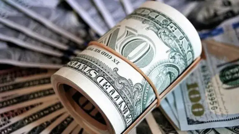 جزئیات راه‌اندازی صندوق‌های درآمد ارزی توسط وزارت اقتصاد؛ هدایت دلارهای خانگی به سمت تولید