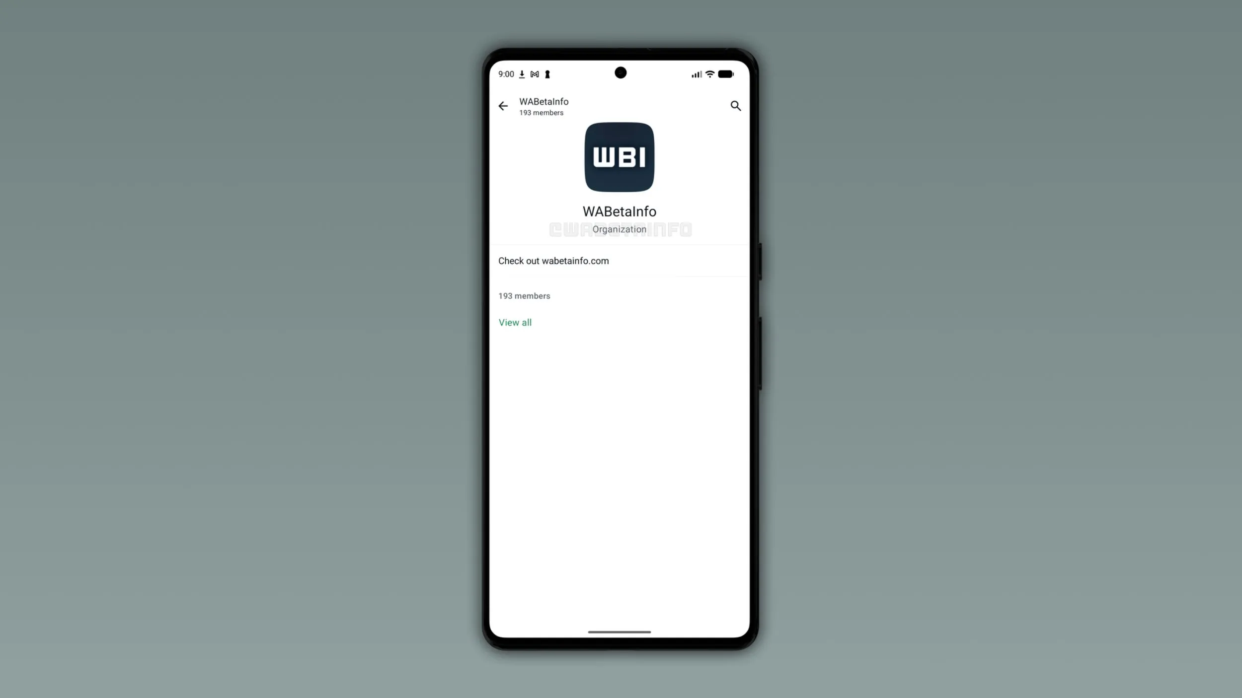 قابلیت Organizations واتساپ؛ ابزار تازه مدیران انجمن‌ها