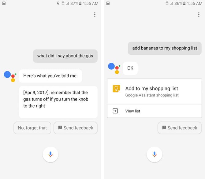 Google Assistant