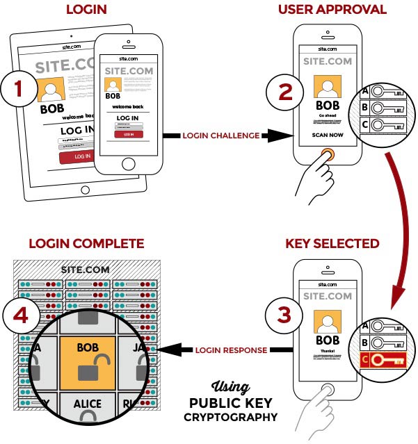 FIDO-secure-login / سنسور اثر انگشت چگونه کار میکند