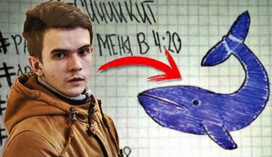 فیلیپ بودیکین / blue whale founder