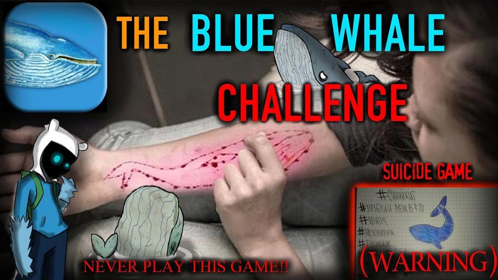 بازی نهنگ آبی / blue whale game
