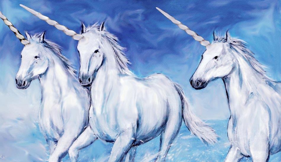 unicorn / اسب تک شاخ