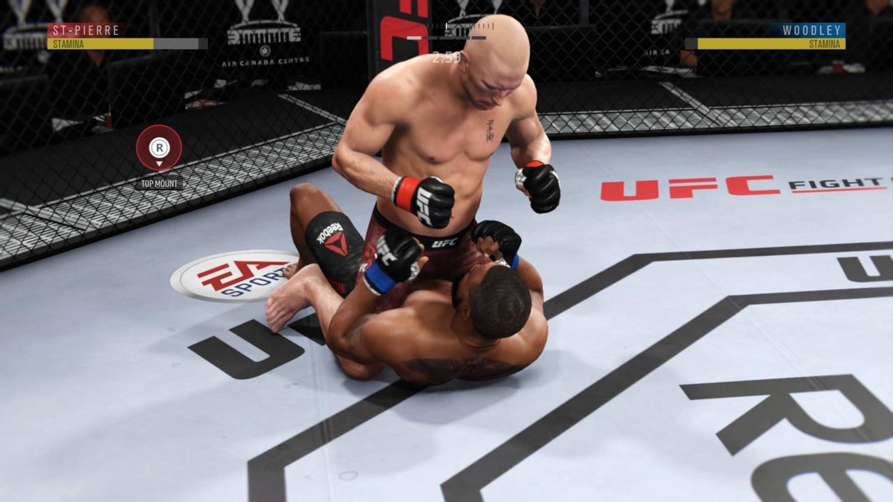 UFC 3