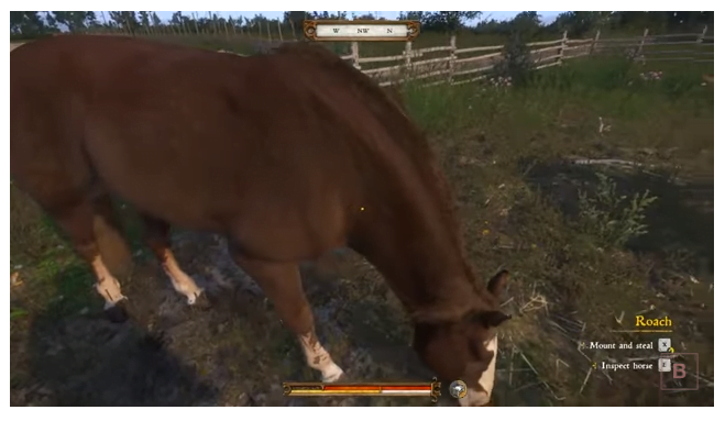 Kingdom Come: Deliverance
