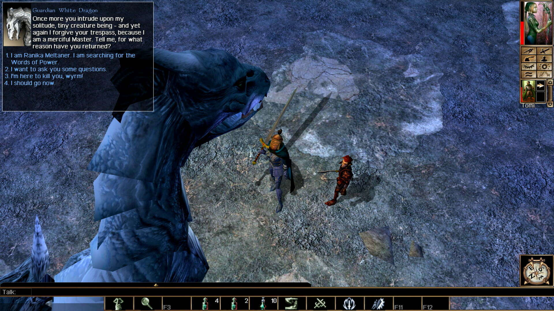 Neverwinter Nights
