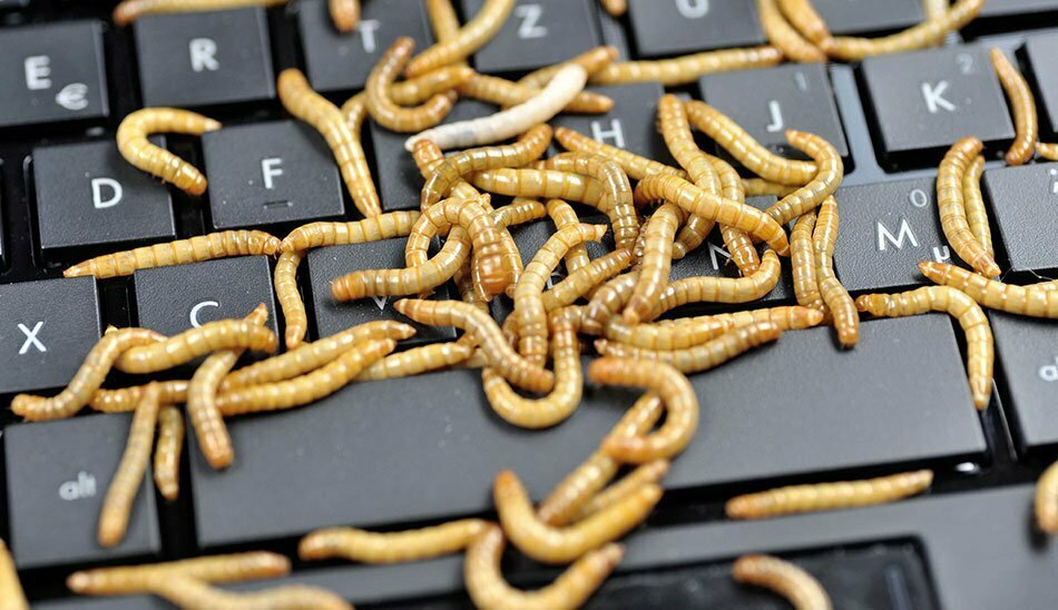 Conficker