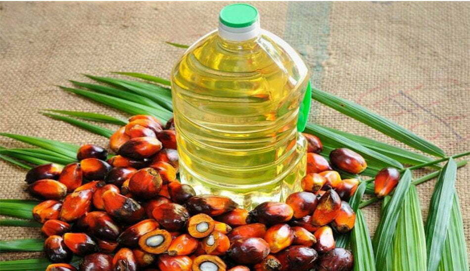 روغن پالم/palm oil