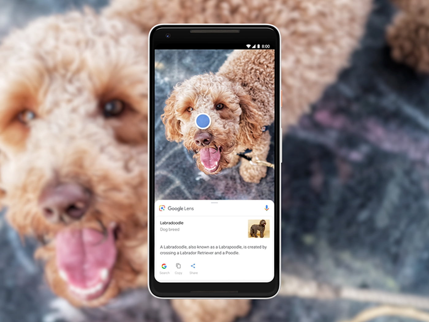 Google Lens