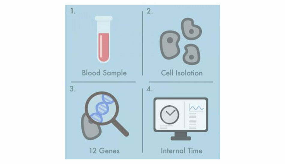 ساعت بیولوژیکی