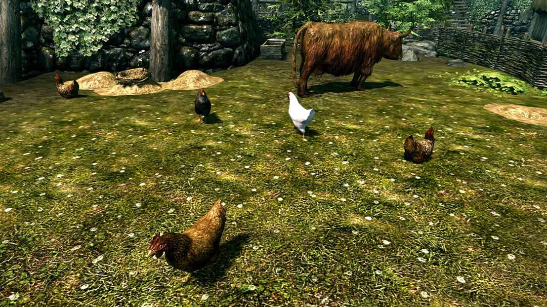 بازی اسکایریم / بازی Skyrim