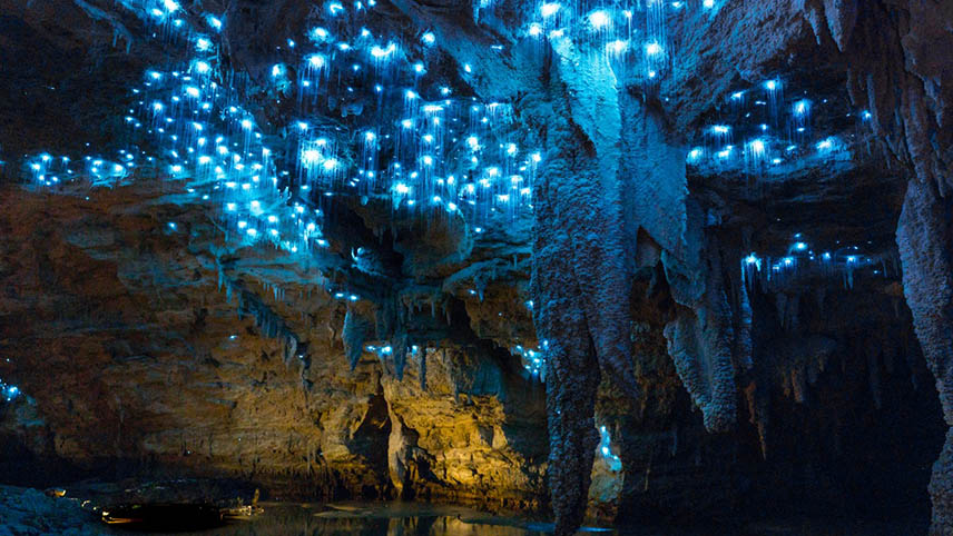 waitomo-caves/مکانهای عجیب