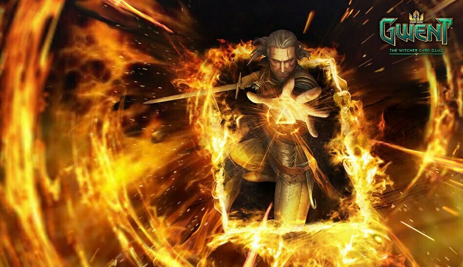The Witcher