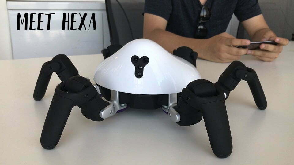 hexa robot