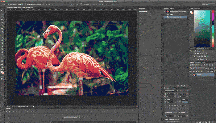 آموزش فتوشاپ flamingo