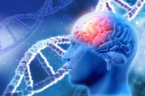 Brain Cancer