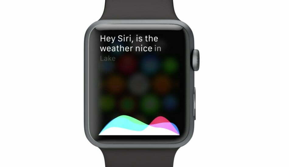 apple watch / اپل واچ