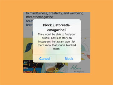 Instagram-Block/اینستاگرام بلاک