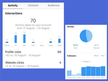 Instagram-Insights/اینستاگرام این سایت