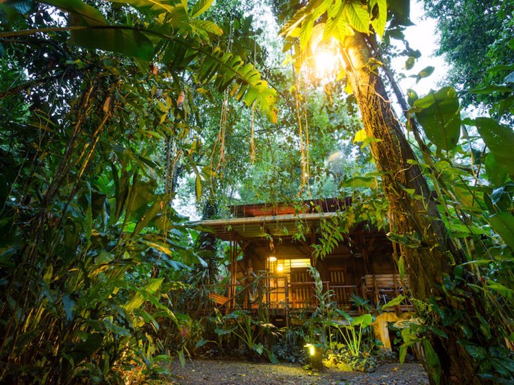 کشور کاستاریکا / Costa Rica