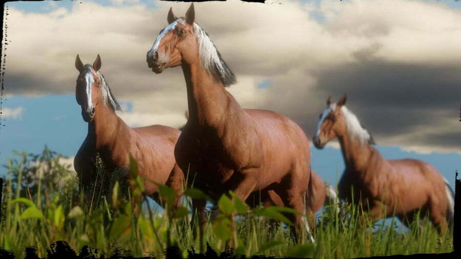 اسب های Red Dead Redemption 2