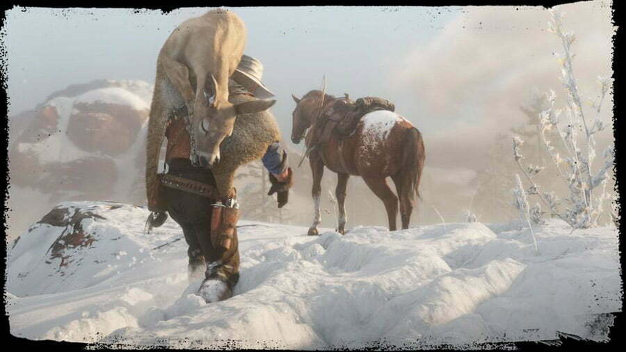 حیوانات Red Dead Redemption 2