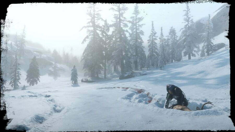 برف Red Dead Redemption 2