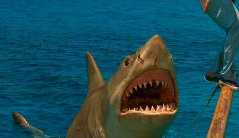 امتیاز فیلم ها / Rotten Tomatoes / Jaws: The Revenge