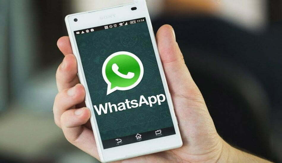 واتساپ / whatsapp