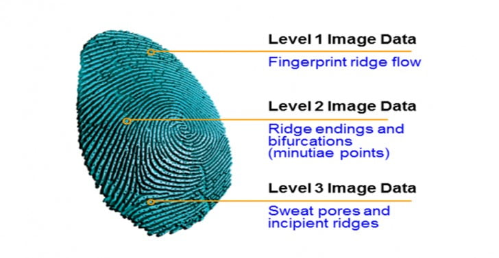 حسگر اثر انگشت /Fingerprint Sensor