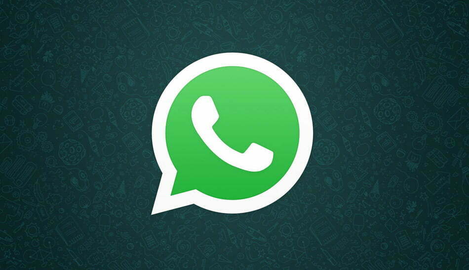 whatsapp / واتساپ