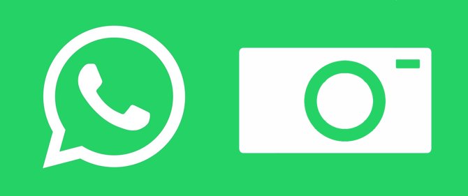 واتساپ / whatsapp