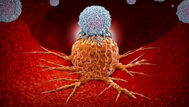 جایزه نوبل پزشکی / cancer cell