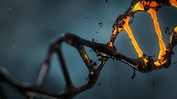 DNA Damage by ionizing radiation / ناسا