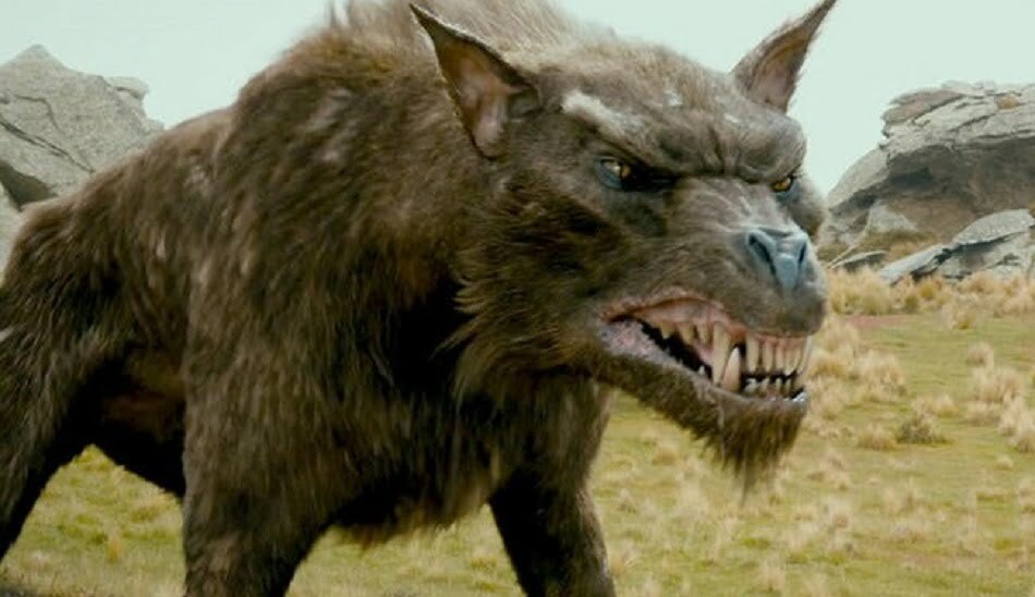 The Lord of the Rings / سارون