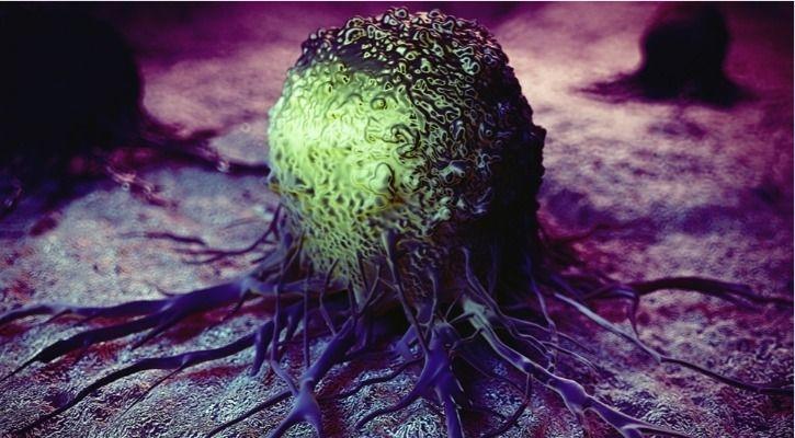 جایزه نوبل پزشکی / cancer cell