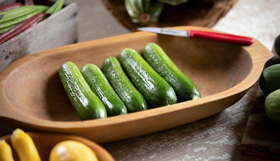 cucumber-2 / کالری خیار