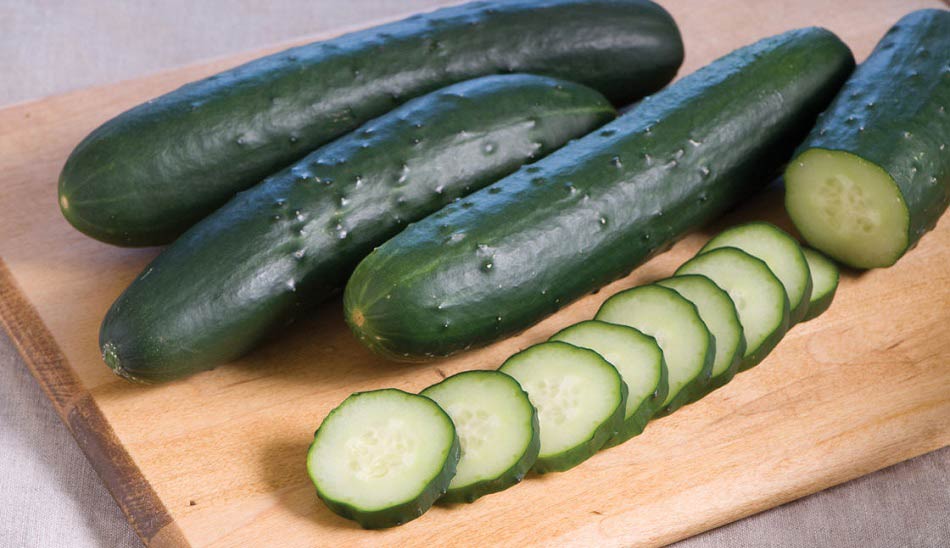 cucumber-3 / رژیم لاغری ماست و خیار