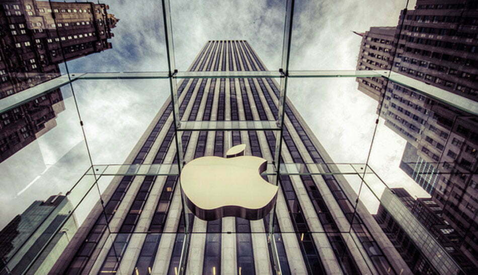 apple / اپل