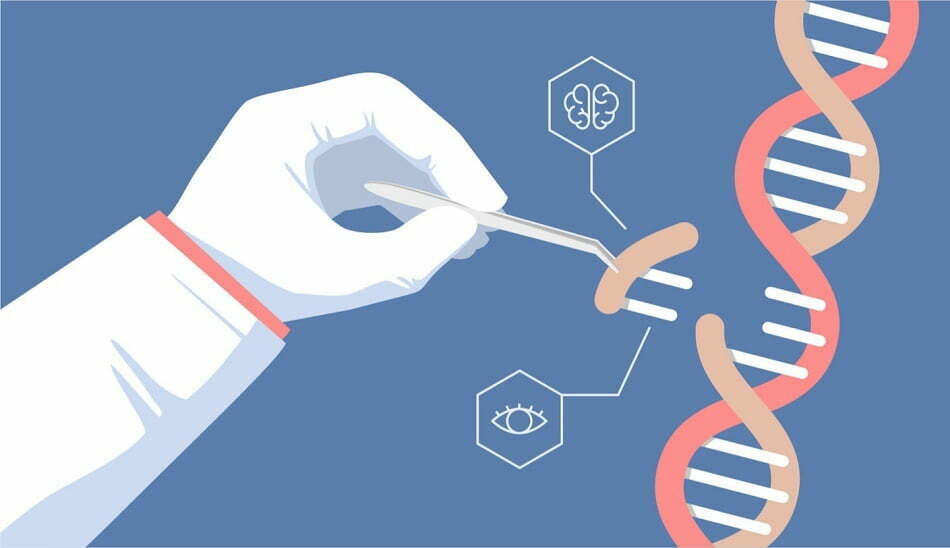 gene editing / ویرایش ژن