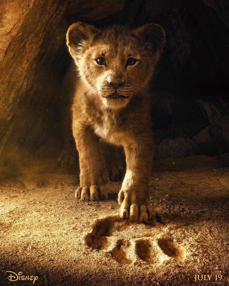 شیر شاه / Lion King